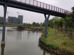 -王借岗森林公园