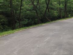 -金龙寺国家森林公园
