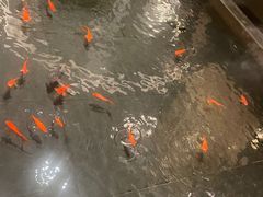 -品粹徽园·家常安徽菜