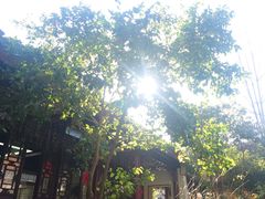 -祝家花園(伯渎港店)
