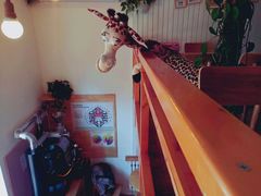 -长颈鹿咖啡(大学路店)