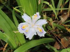 -镇江市南山风景名胜区竹林景区
