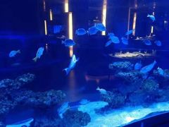 -上和臻品中国菜(花园街店)