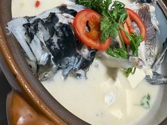 -全乐鱼馆·淳牌有机鱼直营店