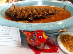 -阿五黄河大鲤鱼(纬三路店)