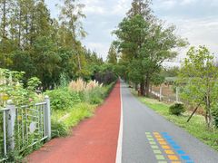 -上海长兴岛郊野公园