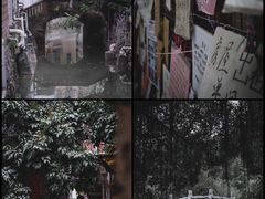 -小洲村