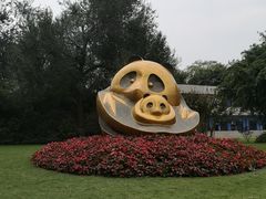 景点-成都大熊猫繁育研究基地