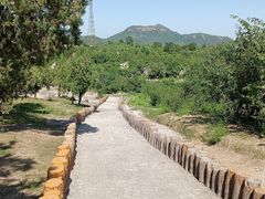 -白水寺森林公园