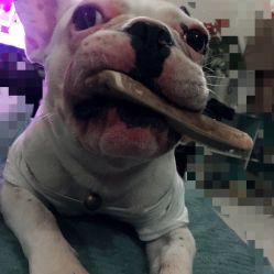 -青禾造型&刺青