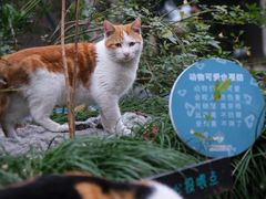 -静安公园(静安寺街道)
