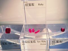 -中国地质博物馆