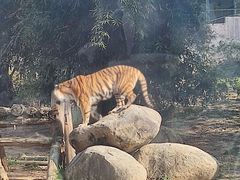 -泉州海丝野生动物世界