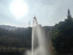 -丹樱生态园