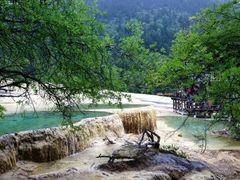 -黄龙山原始森林景区