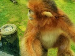 -大连森林动物园