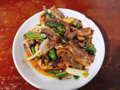 羊肉回锅肉-野狗羊肉汤