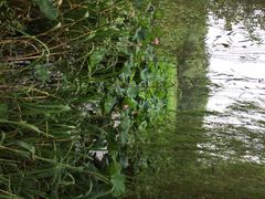 iphone_upload_pic-溱湖国家湿地公园