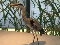 -泗洪县文化艺术中心