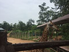 -火烈鸟餐厅