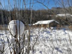 -雪谷