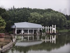 -月湖风景区