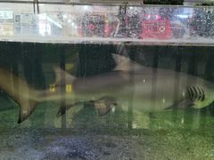 -鸿通城购物中心