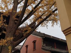 -灵谷景区