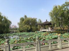-月湖风景区