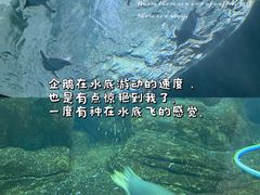 -杭州长乔极地海洋公园