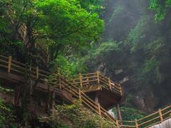 -碧峰峡风景区