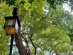 -一江春水·杭帮臻宴(三台山店)