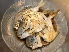 清蒸平鱼-复旦大学本部-食堂