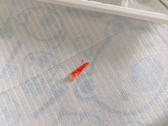 -茂菊口腔连锁(浦东南路店)