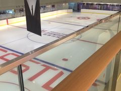 -冰堡国际溜冰场(观澜湖新城MHMALL店)