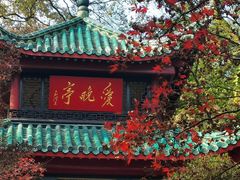 -岳麓山风景名胜区