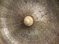 -巴尔多国家博物馆