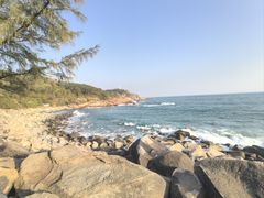 -广东惠东海龟国家级自然保护区