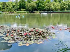 -新虹桥中心花园