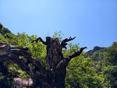 -龙湾潭国家森林公园