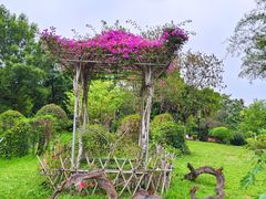 -东莞植物园