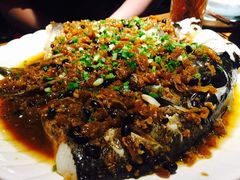 -猫头婴小酒馆FUN OWL(1912店)