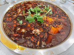 -老表牌·蛙蛙鸡冷锅鱼(成都东站店)