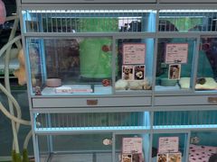 -FAELING PETS美天灵宠物(合生汇店)