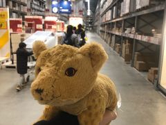 -宜家家居(西安未央商场店)