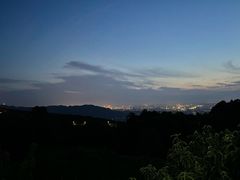 -金水泊山庄·花椒鸡(铁山坪店)