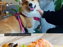 -the rug 飞毯 (朝阳公园店)