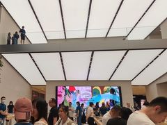-Apple零售店(苏州店)