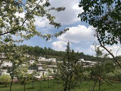 -塔尔寺游客服务中心