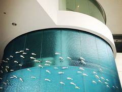 -深圳东部华侨城瀑布酒店